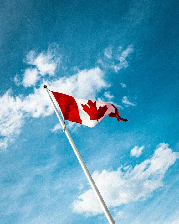 a canadian flag flying high in the sky, an album cover, by Julia Pishtar, pexels contest winner, 15081959 21121991 01012000 4k, transgender, maple syrup, summer day