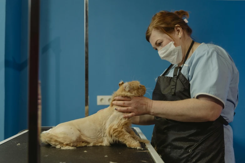 a woman in a face mask grooming a dog, by Julia Pishtar, cinematic medium shot, sovjet, cut-scene, low quality photo