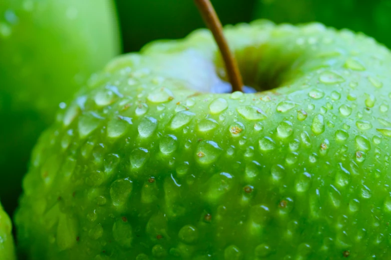 a close up of a green apple with water droplets, by Dan Luvisi, pixabay, renaissance, promo image, panels, green: 0.5, ground level shot