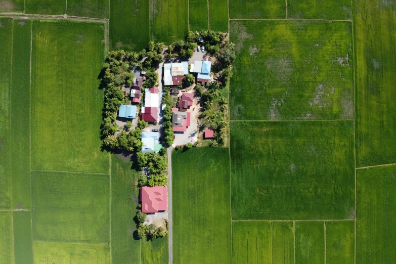 an aerial view of a small village in the middle of a green field, an album cover, pexels, hurufiyya, philippines, college, complex and detailed, rice