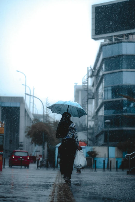 a person walking in the rain with an umbrella, wellington, shades of blue and grey, unsplash photography, multiple stories