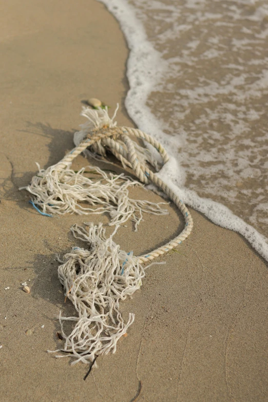 a rope laying on top of a beach next to the ocean, in the ocean