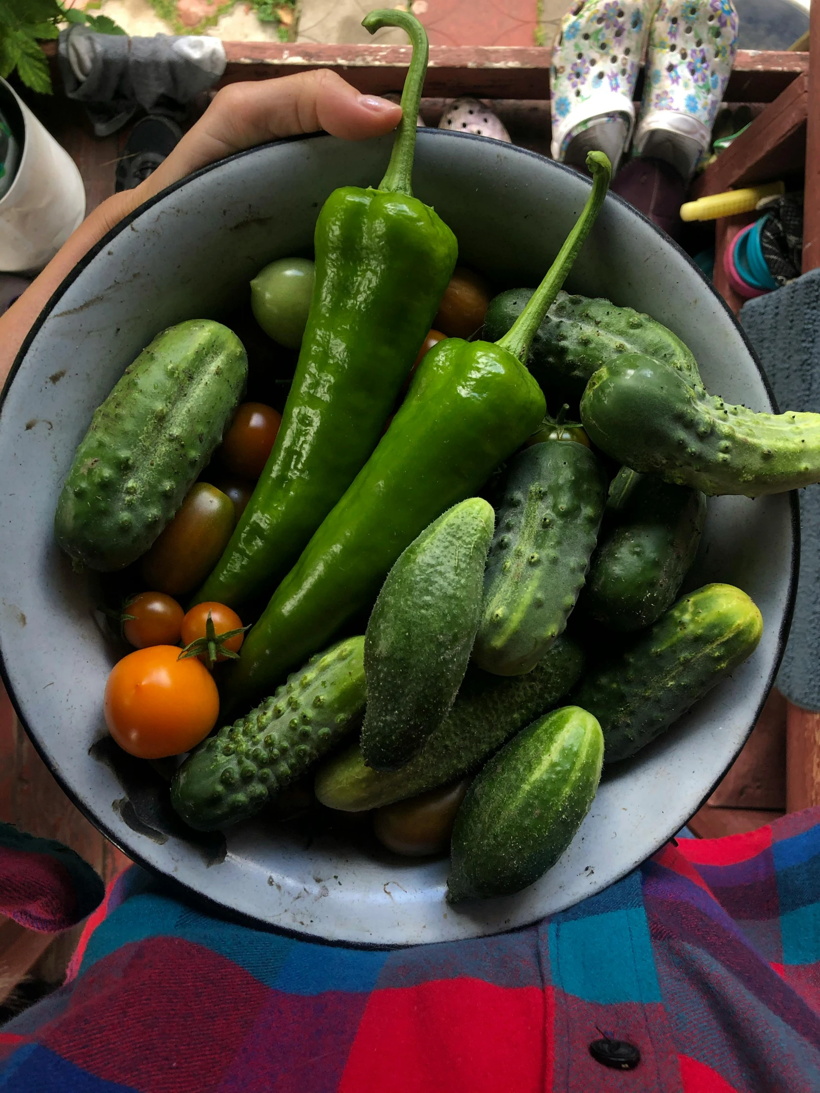 a person holding a bowl of cucumbers and tomatoes, a still life, by Carey Morris, pexels contest winner, 💣 💥💣 💥, a high angle shot, pickle rick, center of picture