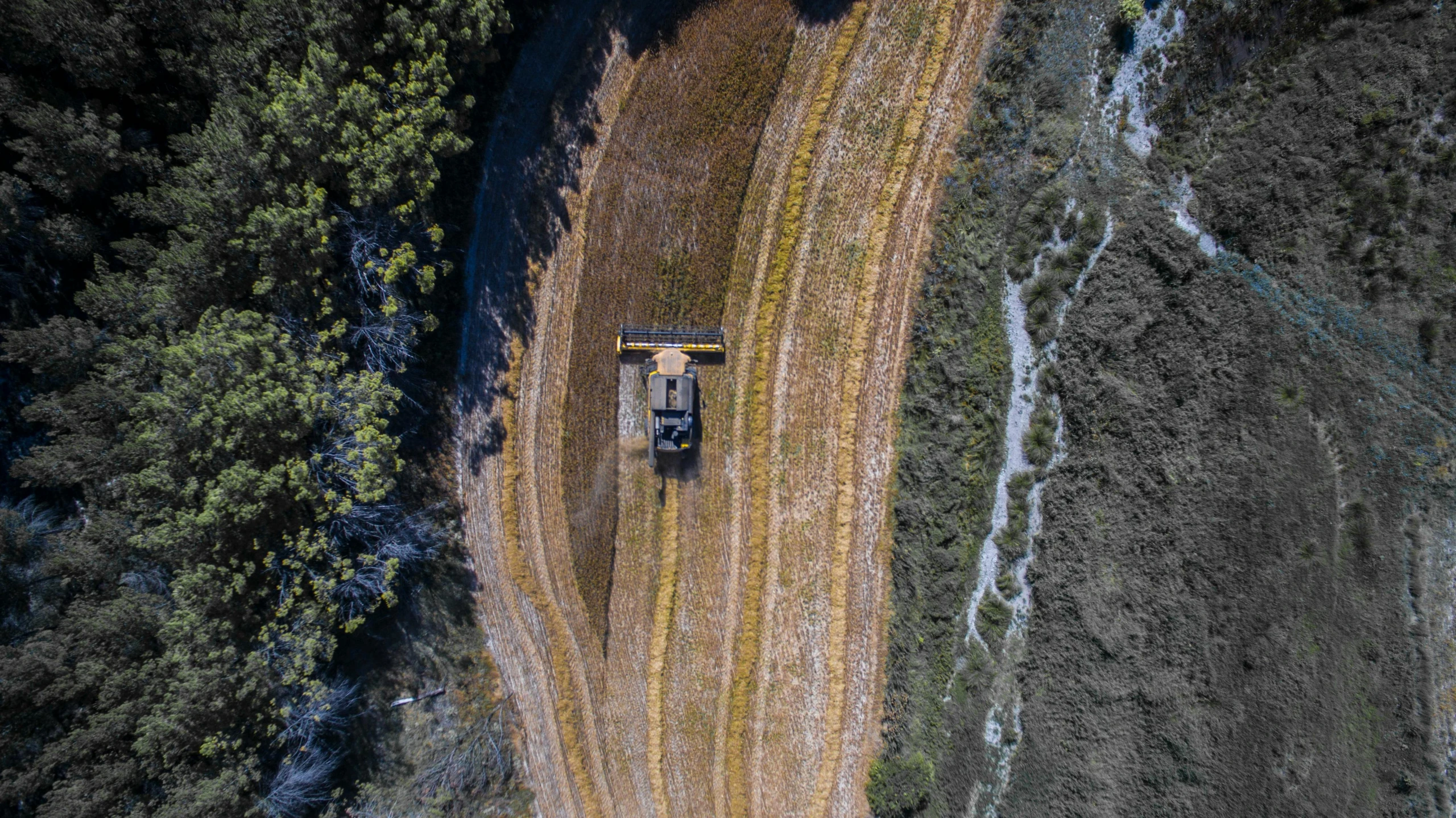 a truck driving down a dirt road next to a forest, land art, overhead birdseye view, gilt-leaf winnower, mowing of the hay, lachlan bailey