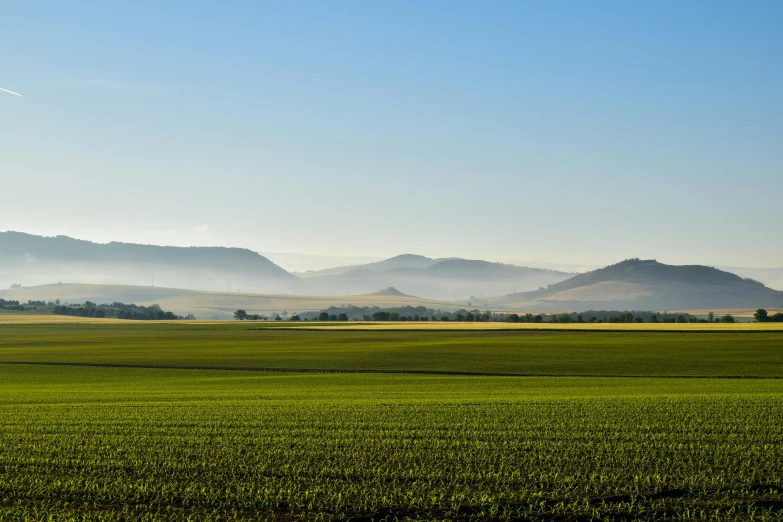 a green field with mountains in the distance, pexels contest winner, precisionism, brown stubble, morning haze, green and blue, farming