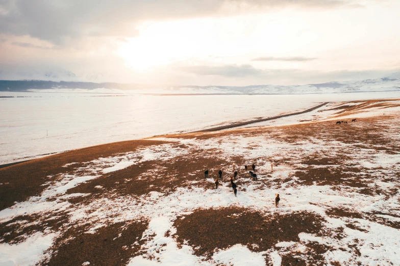 a group of people standing on top of a snow covered beach, unsplash contest winner, land art, mongolia, helicopter view, golden hour photo, brown