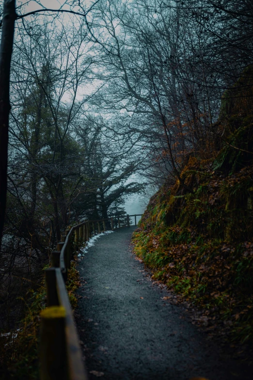 a path in the middle of a forest on a foggy day, a picture, inspired by Elsa Bleda, unsplash contest winner, looking down a cliff, walkway, on a dark winter's day, today\'s featured photograph 4k