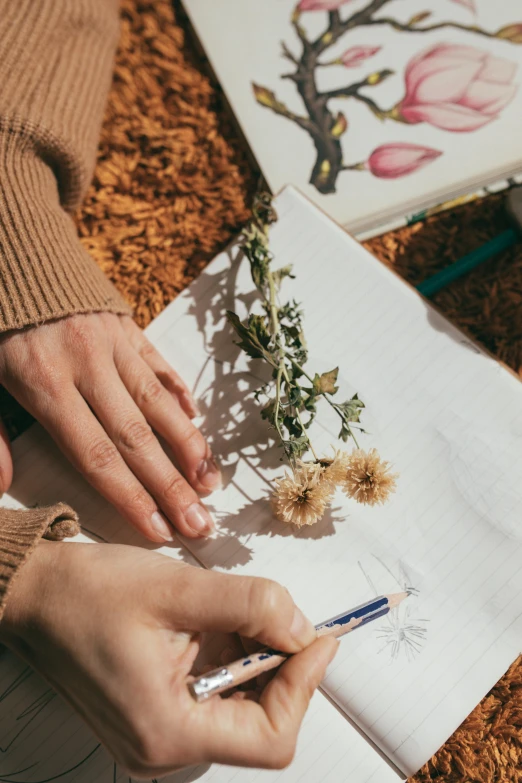 a woman is drawing flowers on a piece of paper, a child's drawing, by Niko Henrichon, trending on pexels, made of dried flowers, outdoor photo, holding notebook, ilustration