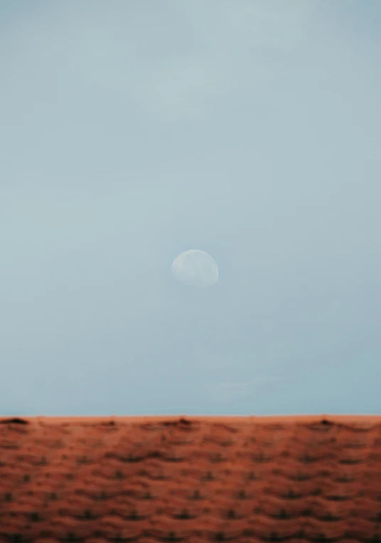 a giraffe standing on top of a grass covered field, a minimalist painting, by Peter Churcher, trending on unsplash, minimalism, full moon buried in sand, mars vacation photo, ☁🌪🌙👩🏾, viewed from a distance