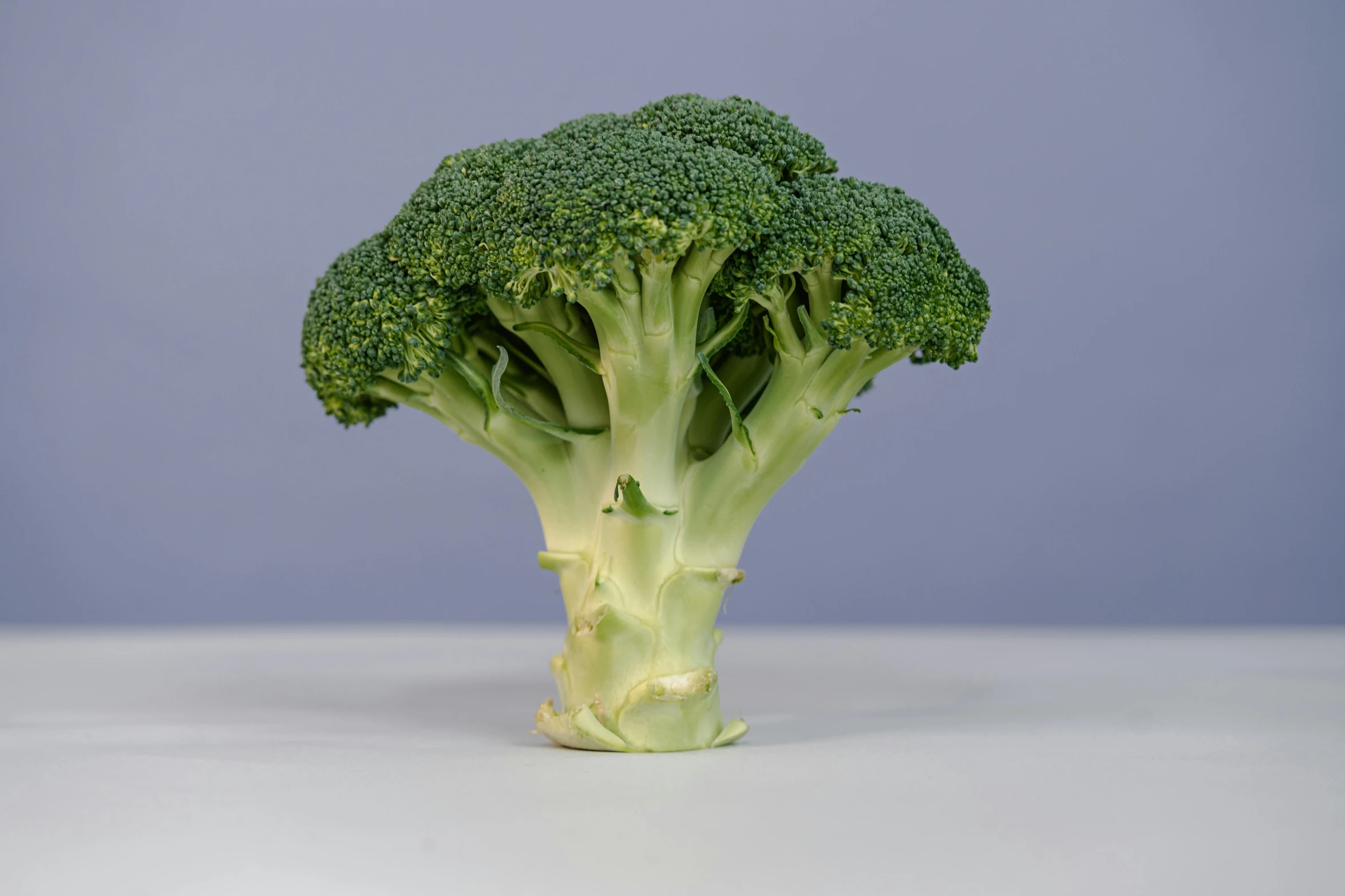 a close up of a piece of broccoli on a table, unsplash, hyperrealism, height detailed hd realistic 8 k, 155 cm tall, vegetable foliage, petite