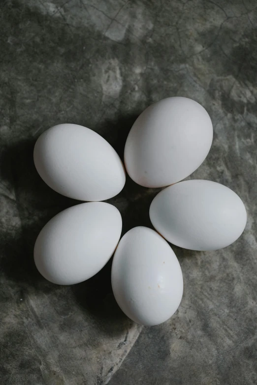 a bunch of white eggs sitting on top of a table, by Ben Zoeller, on a gray background, profile pic, top - down photograph, breeding