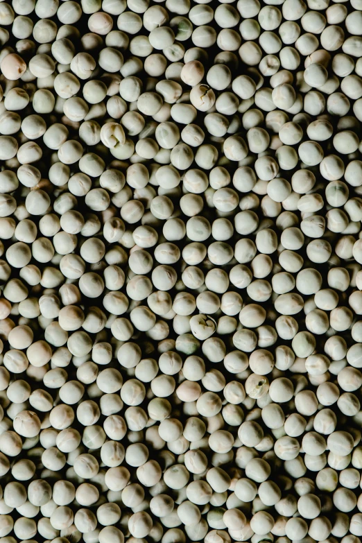 a pile of white beans sitting on top of each other, a digital rendering, by Emanuel de Witte, unsplash, renaissance, beads, crop circles, 15081959 21121991 01012000 4k