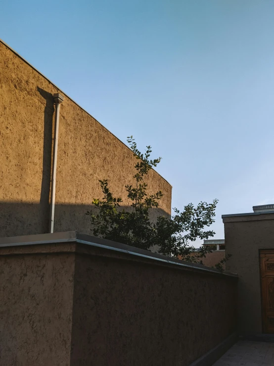 a man riding a skateboard up the side of a building, an album cover, unsplash, brutalism, tlaquepaque, dappled in evening light, albuquerque, some trees in the corner