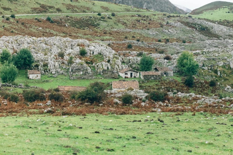 a herd of sheep grazing on top of a lush green hillside, a picture, by Elsa Bleda, les nabis, rundown buildings, arrendajo in avila pinewood, 90s photo, rustic stone cabin in horizon