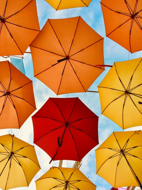 a bunch of umbrellas that are in the air, trending on unsplash, renaissance, thumbnail, alternate album cover, profile image, warm coloured