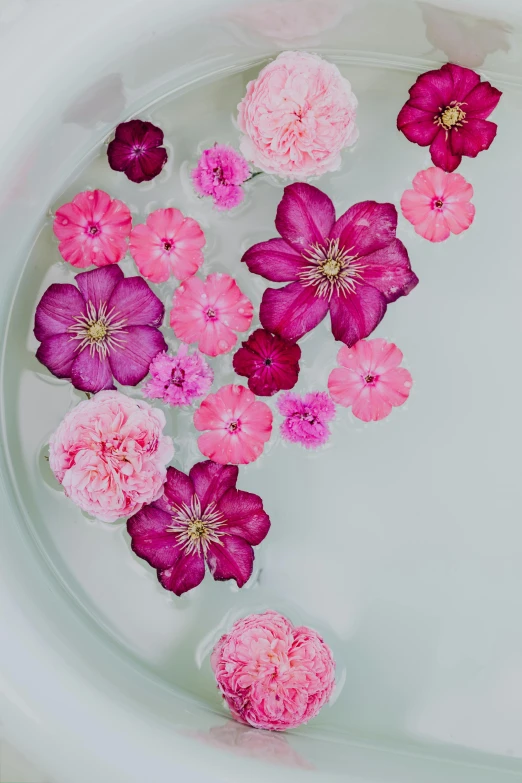 flowers are floating in a bowl of water, a digital rendering, by Frances Jetter, trending on unsplash, pinks, made of flowers, detail shot, celebration