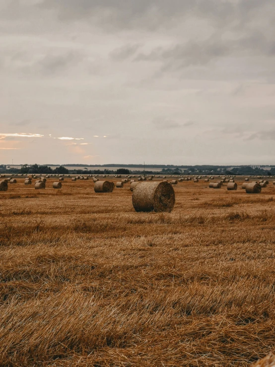 a field full of hay bales under a cloudy sky, a picture, pexels contest winner, instagram story, autumn season, high quality product image”, looking towards the horizon