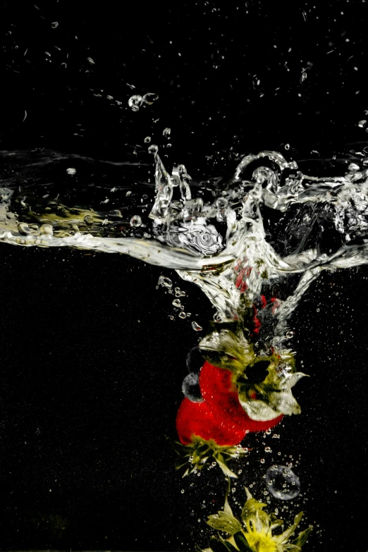 a close up of a flower in water with a black background, an album cover, by Doug Ohlson, pexels, fight with strawberries, water gushing from ceiling, high angle close up shot, made of liquid