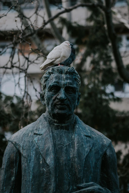 a statue of a man with a bird on his head, a statue, inspired by István Regős, pexels contest winner, looking at camera, basil gogos, white, is looking at a bird