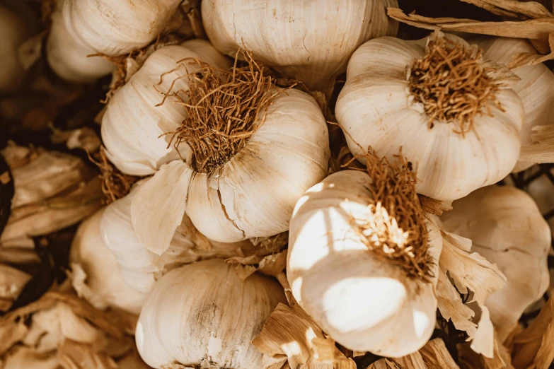 a bunch of garlic sitting on top of a table, by Carey Morris, unsplash, renaissance, beige, 1 6 x 1 6, close-up product photo, warm sunshine