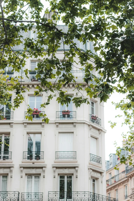 a couple sitting on a bench in front of a building, inspired by Albert Paris Gütersloh, trending on unsplash, paris school, lush greenery, view from ground level, bay window, white background