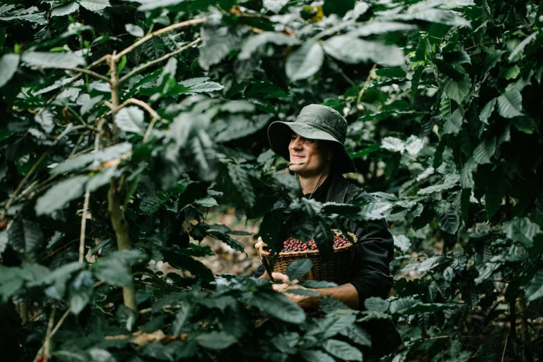 a man standing in the middle of a forest, a portrait, by Jessie Algie, unsplash, process art, amongst coffee beans and flowers, aussie baristas, thick and dense vines, picking up a can beans