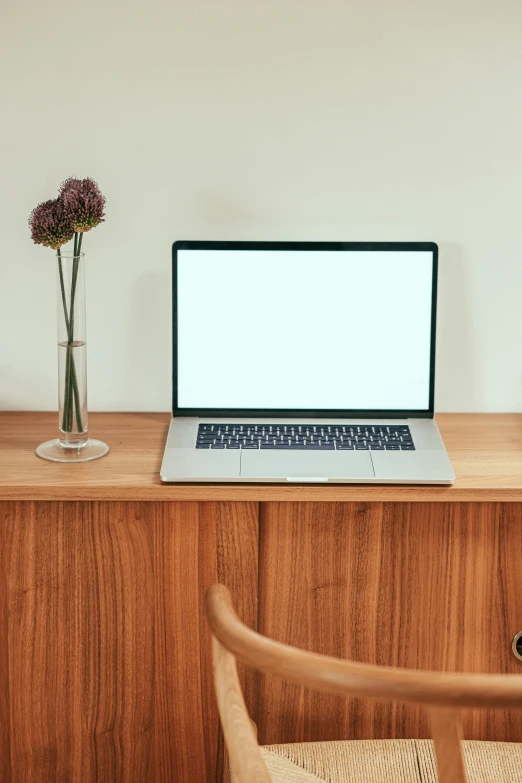 a laptop computer sitting on top of a wooden desk, by Carey Morris, modern minimalist f 2 0 clean, flowers around, medium portrait, ultrawide