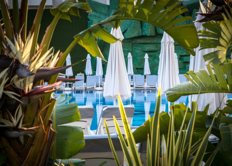 an outdoor pool with lounge chairs and umbrellas, by Daniel Gelon, unsplash, bauhaus, lush plant and magical details, philippe starck, green robes, reflecting