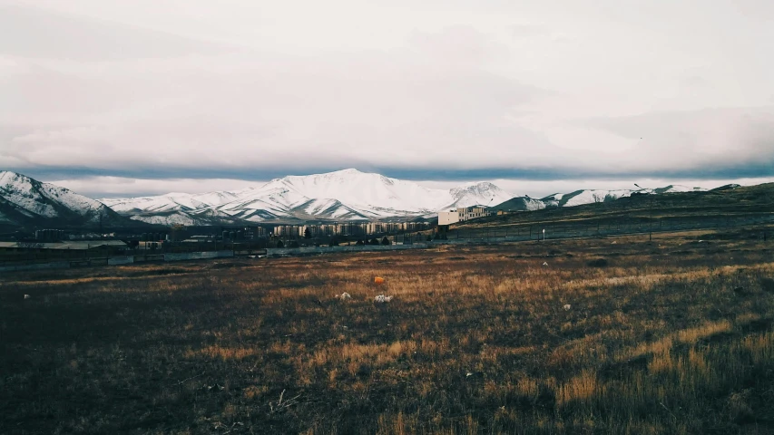 a field of grass with mountains in the background, an album cover, by Muggur, unsplash contest winner, soviet suburbs, snowy mountains, 2000s photo, gray skies