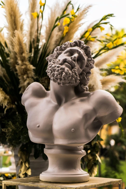 a bust of a man sitting next to a vase of flowers, a marble sculpture, inspired by Exekias, dynamic closeup, hairy chest, 2019 trending photo, made of marble