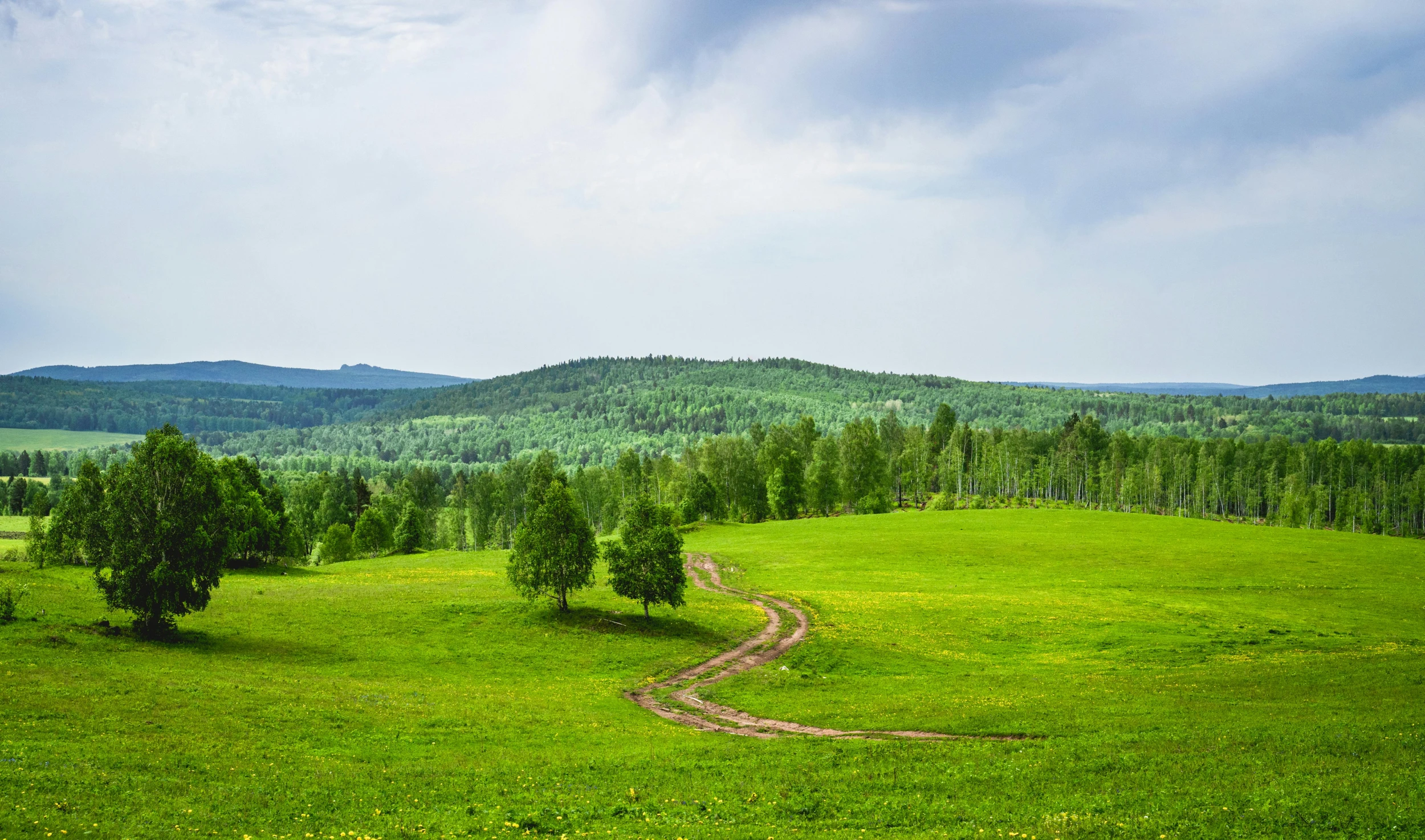 a dirt road running through a lush green field, inspired by Isaac Levitan, pexels contest winner, land art, summer siberian forest taiga, on a hill, instagram post, multiple stories