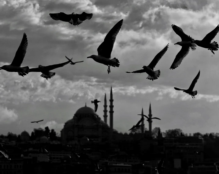 a flock of birds flying over a city, a black and white photo, by Ibrahim Kodra, pexels, hurufiyya, ottoman sultan, 2 5 6 x 2 5 6, fallout style istanbul, harem