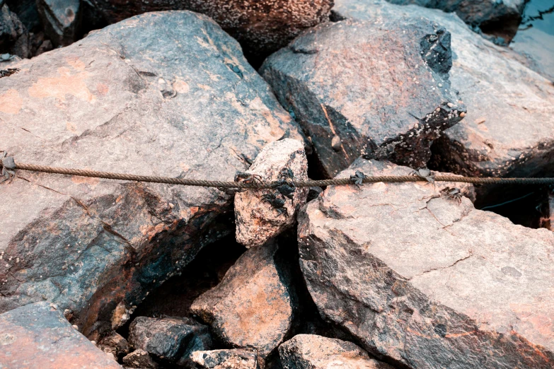 a teddy bear sitting on top of a pile of rocks, an album cover, unsplash, auto-destructive art, wires made of copper, ((rocks)), abstract detail, background image