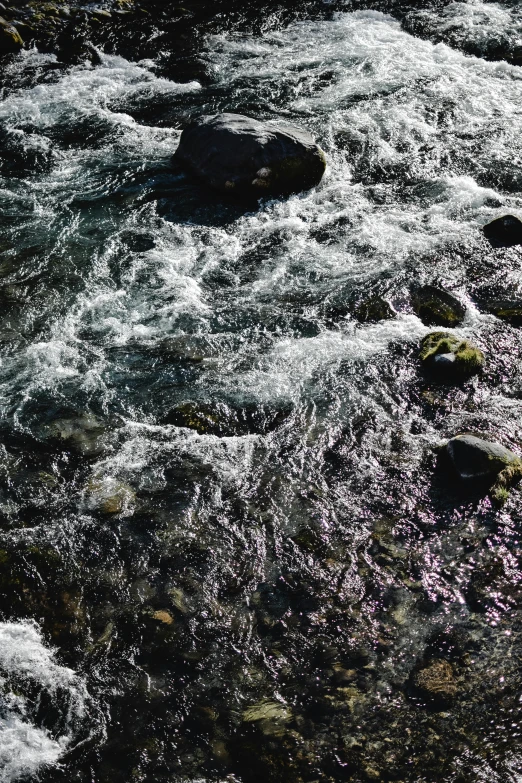 a river running through a forest filled with rocks, an album cover, unsplash, rippling muscles, low quality photo, heat shimmering, full frame image