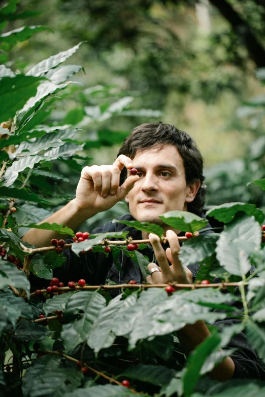a man picking coffee beans from a tree, a portrait, by Alejandro Obregón, pexels contest winner, renaissance, 2 5 6 x 2 5 6 pixels, joaquin phoenix, in a jungle, riccardo scamarcio