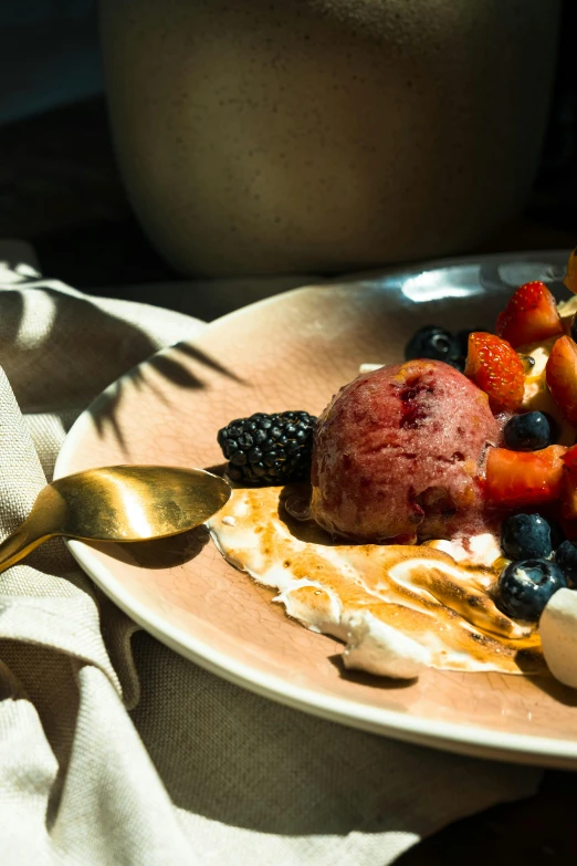 a close up of a plate of food on a table, inspired by Barthélemy Menn, unsplash, squashed berries, ice cream on the side, manuka, sun drenched