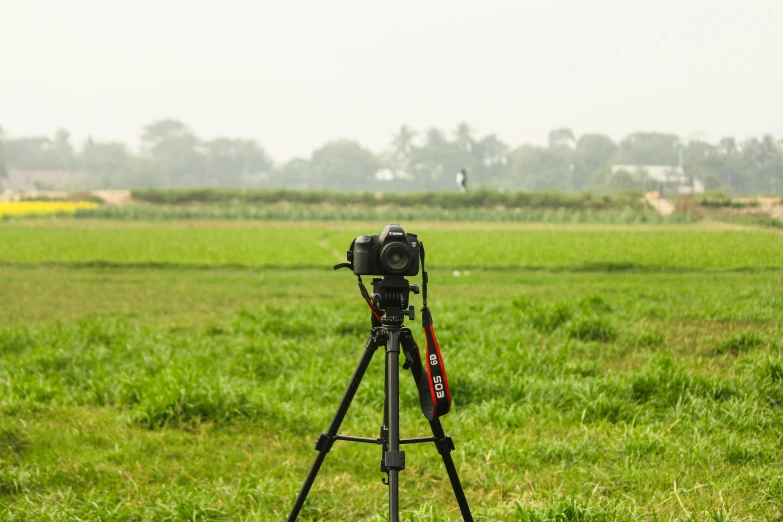 a camera sitting on top of a tripod in a field, in a open green field, working out in the field, photography], super long shot