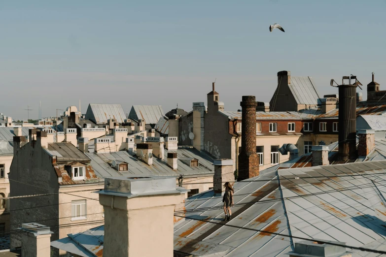 a bird is flying over the rooftops of a building, inspired by Édouard Detaille, pexels contest winner, paris school, ignant, galvalume metal roofing, panoramic view of girl, brown