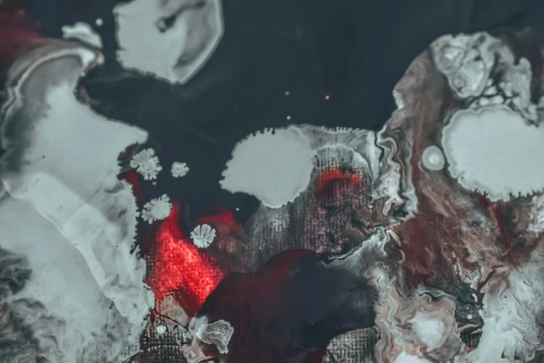 a couple of bears standing next to each other, a microscopic photo, inspired by Attila Meszlenyi, trending on pexels, generative art, body with black and red lava, aerial viewyoji shinkawa, silver white red details, bloody ocean