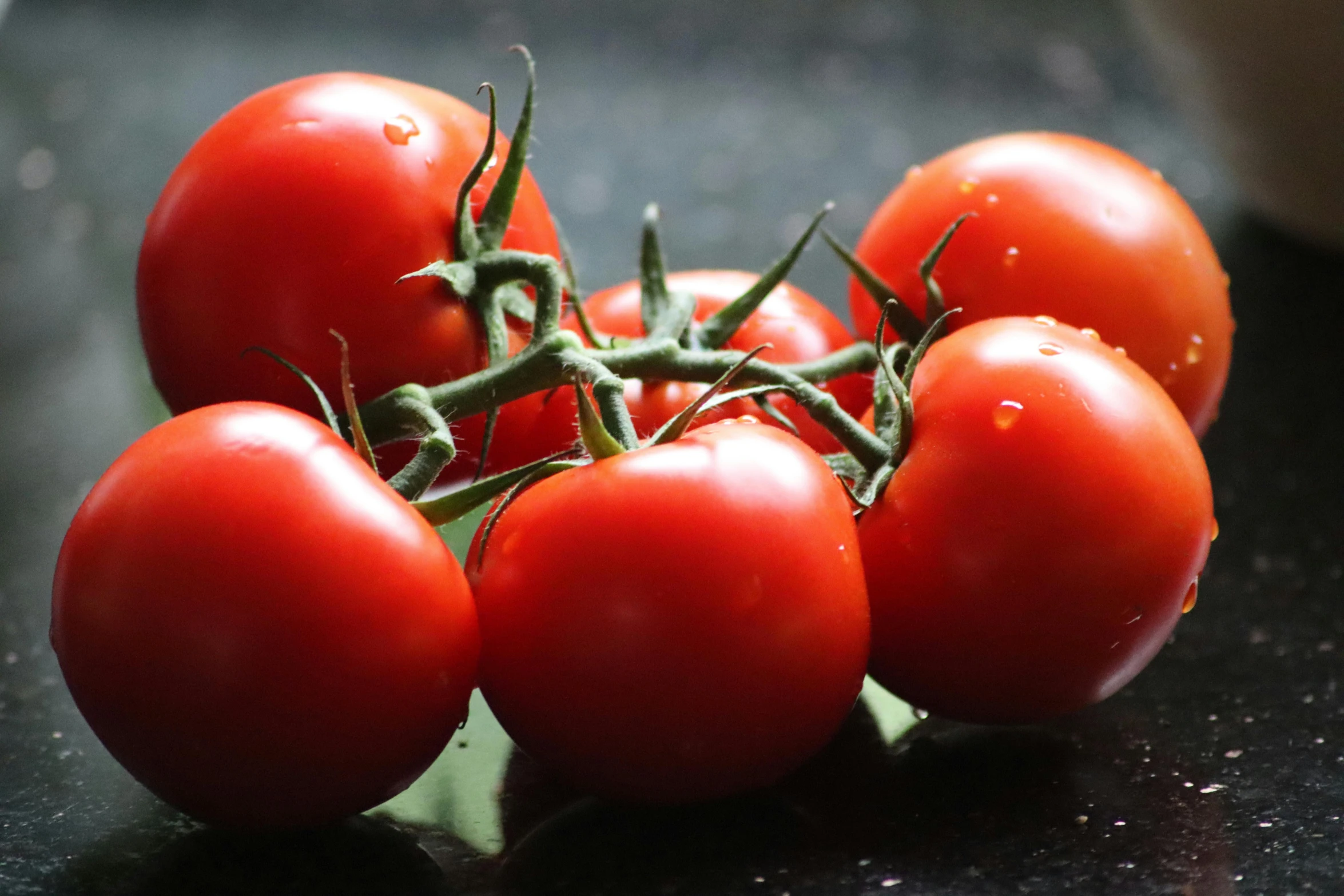 a bunch of tomatoes sitting on top of a counter, subtle detailing, on a dark background, stems, high quality product image”