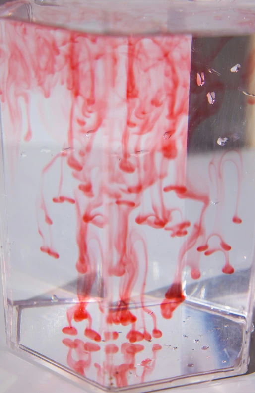 a glass filled with red liquid sitting on top of a table, inspired by Cornelia Parker, flickr, conceptual art, squid attack, closeup!!, made of wax and water, gelatinous with teeth