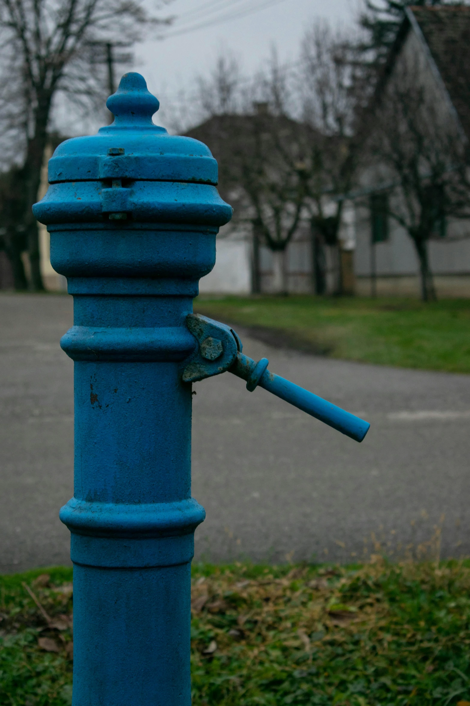 a blue fire hydrant sitting on the side of a road, by Sven Erixson, renaissance, water pipe, a park, stacked image, cane