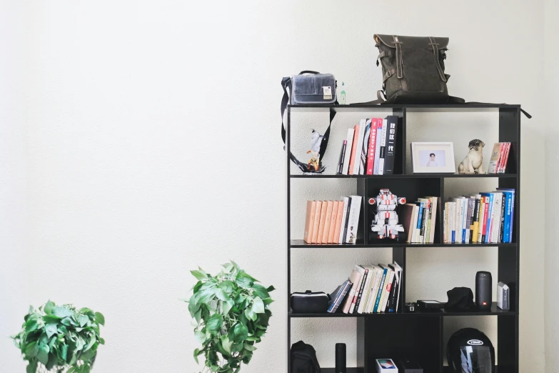 a bookshelf filled with lots of books next to a potted plant, a picture, unsplash, postminimalism, camera looking up, background image, fullbody photo, in the office