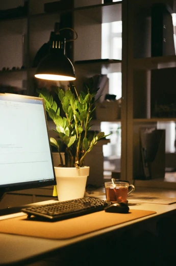 a desktop computer sitting on top of a wooden desk, trending on pexels, glowing plants, evening lights, architect studio, curated collections