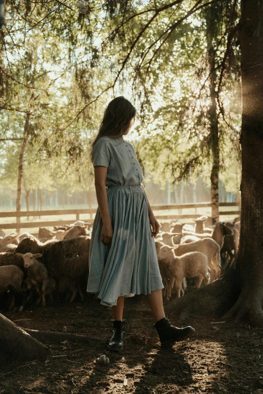 a woman standing in front of a herd of sheep, by Winona Nelson, long blue dress, late afternoon, sadie sink, facing away from camera