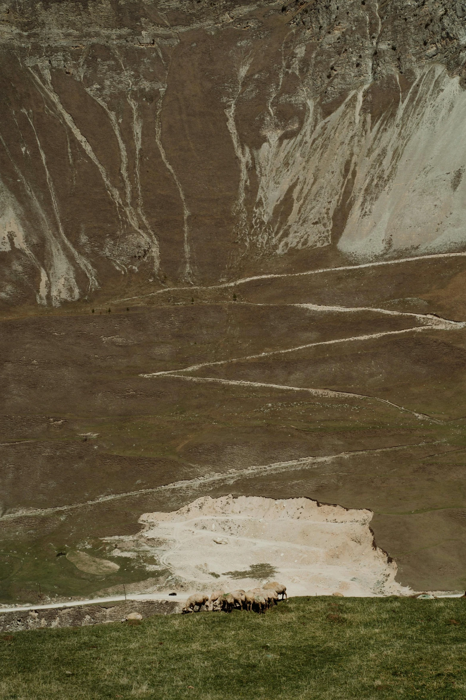 a herd of sheep standing on top of a lush green hillside, an ultrafine detailed painting, inspired by Andreas Gursky, unsplash, land art, lots of mud puddles and craters, close-up print of fractured, chalk cliffs above, dark brown white green colours