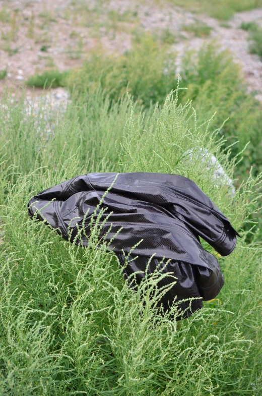 a black bag sitting on top of a lush green field, environmental art, rubber suit, overgrown with weeds, clothing drop, ignant