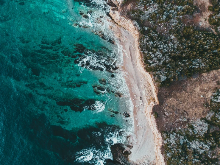 a large body of water next to a beach, pexels contest winner, looking down on the camera, sydney hanson, complex and detailed, shoreline