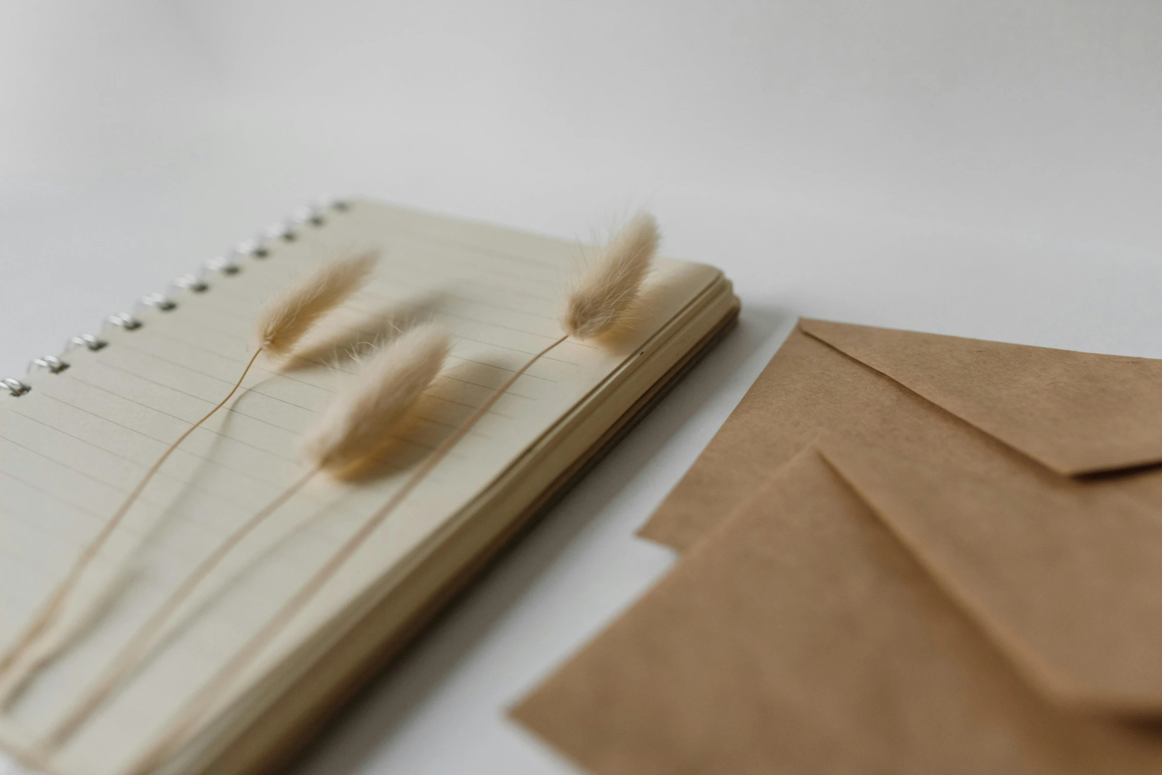 a notepad sitting on top of a pile of brown envelopes, by Emma Andijewska, trending on pexels, bullrushes, seeds, paper decoration, thumbnail