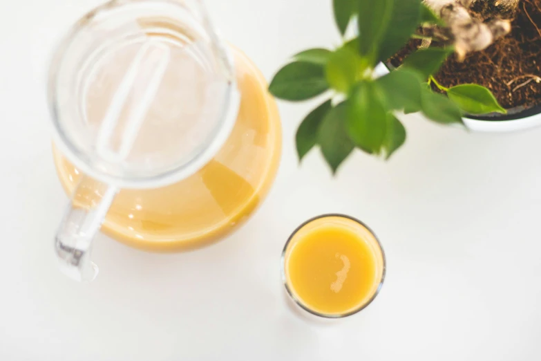 a glass of orange juice next to a potted plant, by Nicolette Macnamara, trending on unsplash, on a white table, 🦩🪐🐞👩🏻🦳, moringa juice, vanilla smoothie explosion